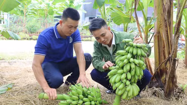 Chuyển đổi cây trồng, nâng cao giá trị nông nghiệp