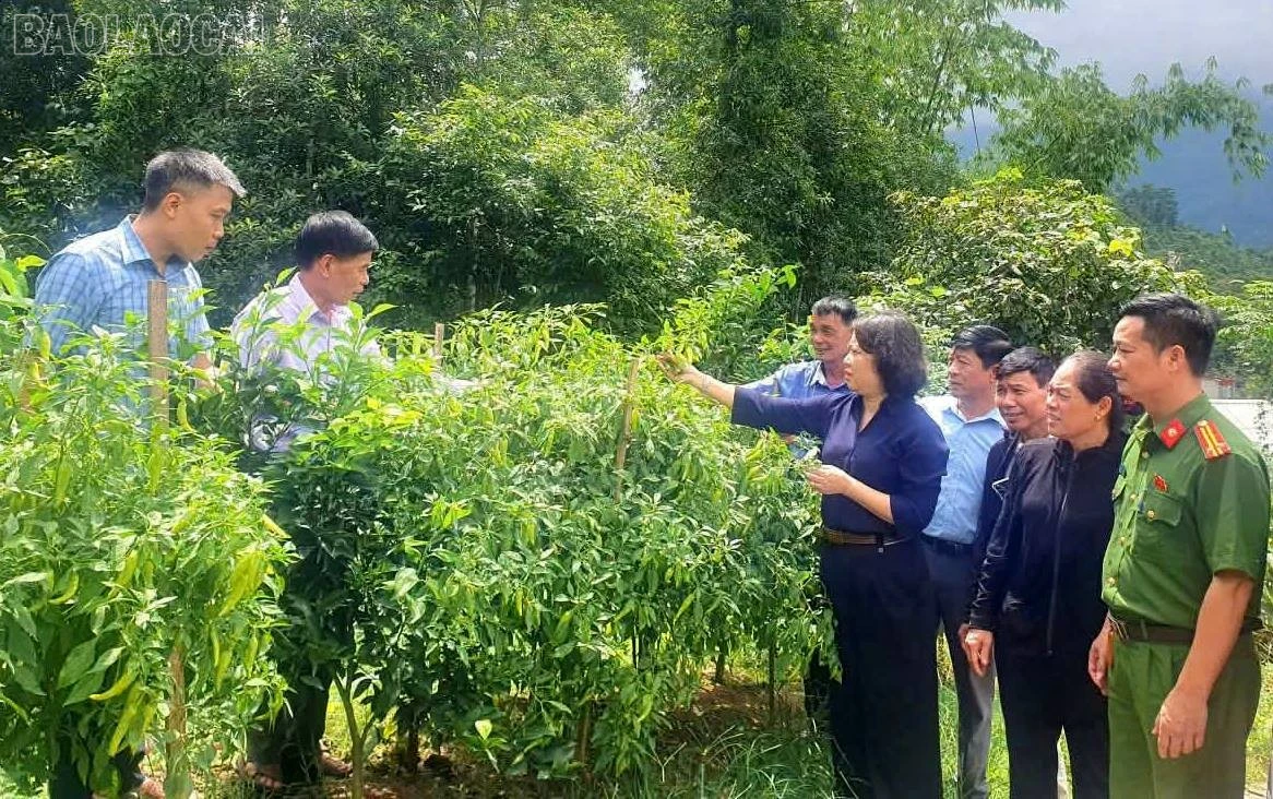 baolaocai-tl_dong-chi-bui-thi-doan.jpg
