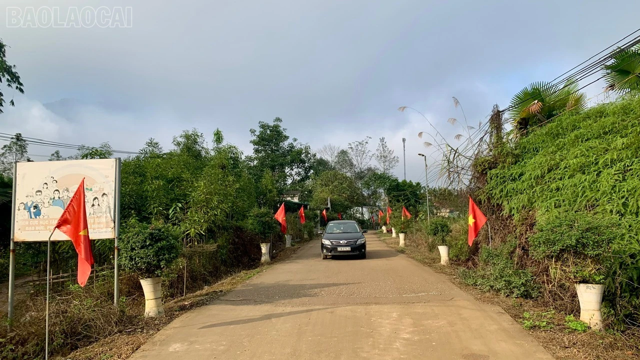 baolaocai-tl_duong-6.jpg