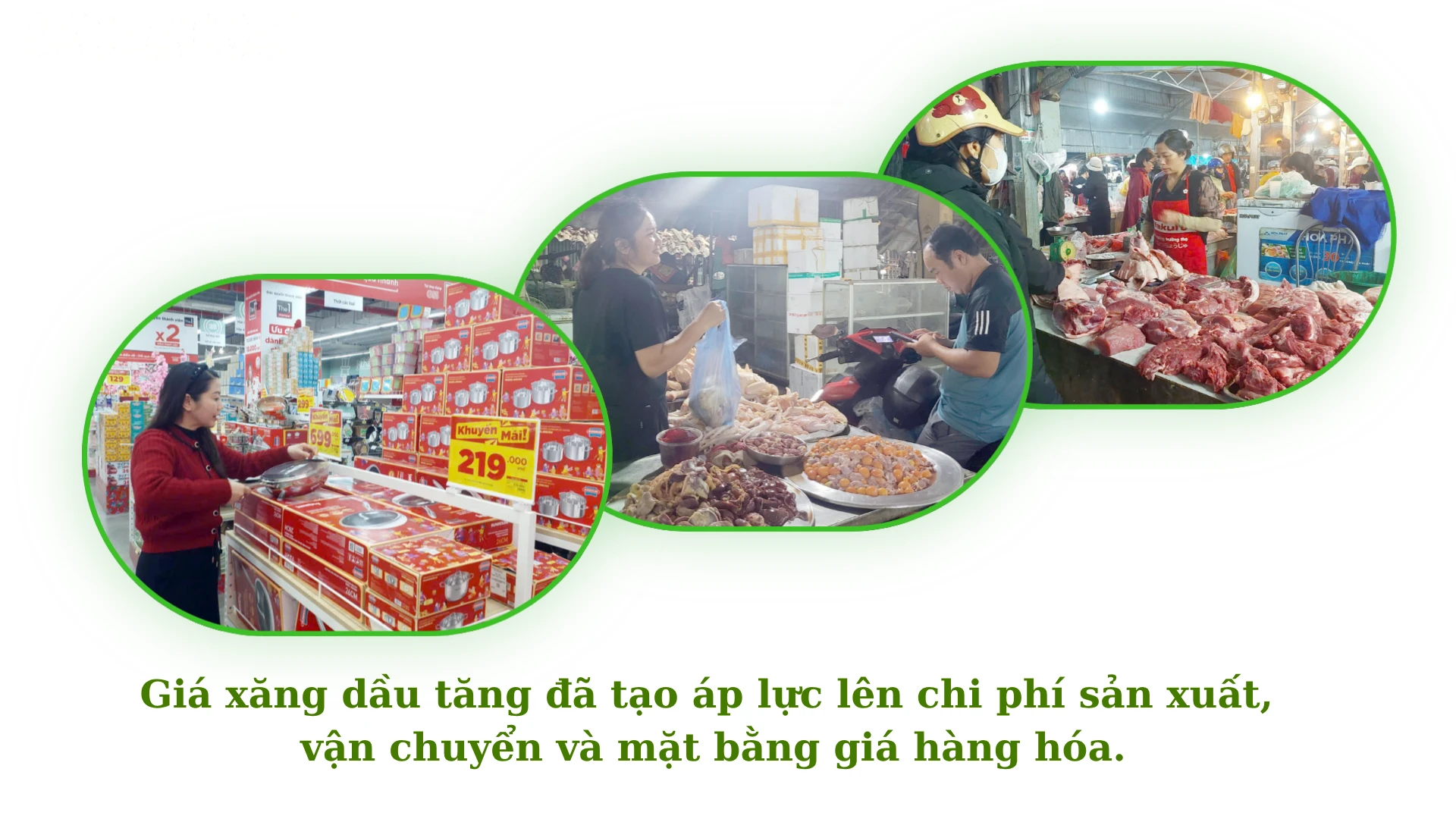 baolaocai-tl_3.png