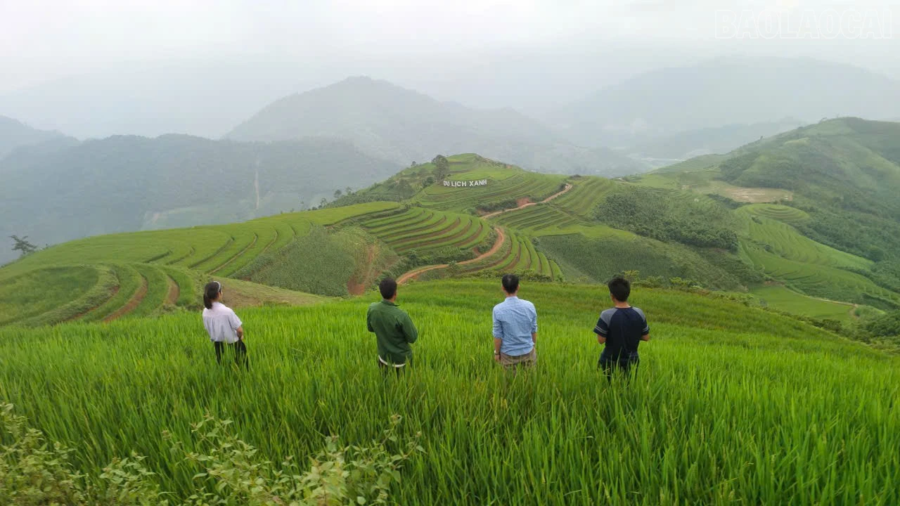 baolaocai-tr_ruong.jpg