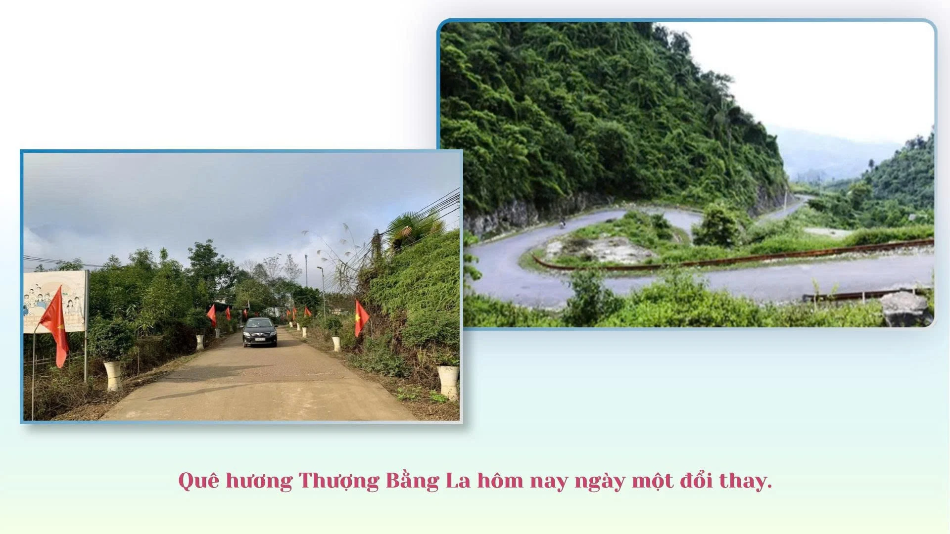 1788253948966-1126522503584789631-1126522503584789631-5f3445ea2ceb00416db8016daf4bb2ad.jpg