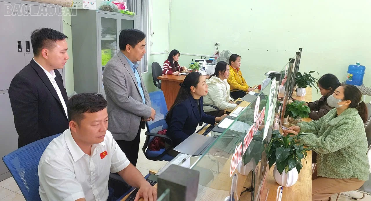 baolaocai-tl_z7335752644636-3efe448cf81211efab98477b73fda0c3.jpg