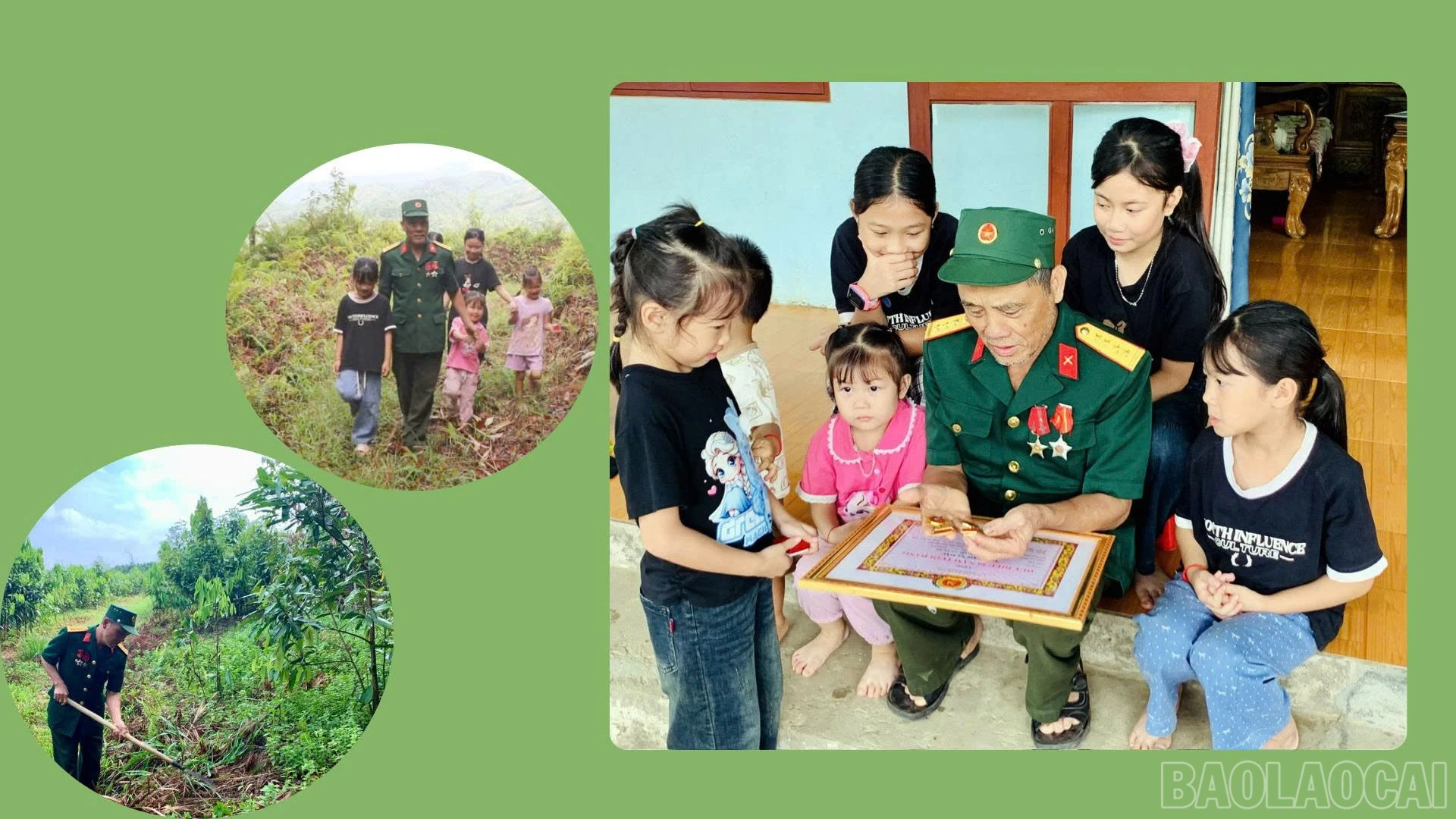 baolaocai-br_anh-3.jpg
