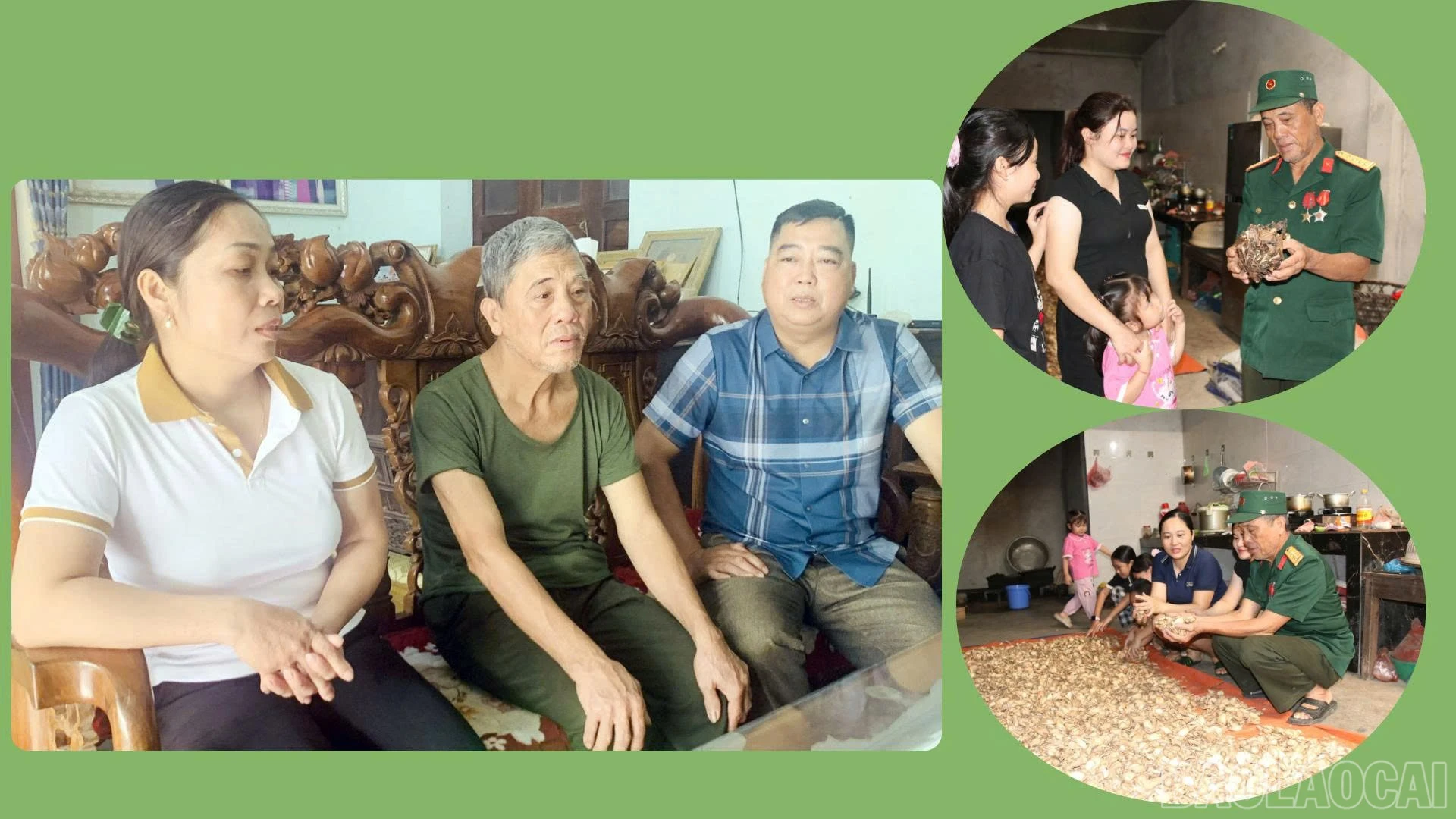 baolaocai-br_anh-2.jpg