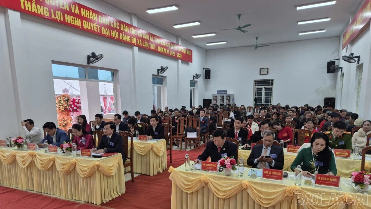 baolaocai-br_z7439995538163-b0070281c4e29580767384f460fd1698-3882.jpg