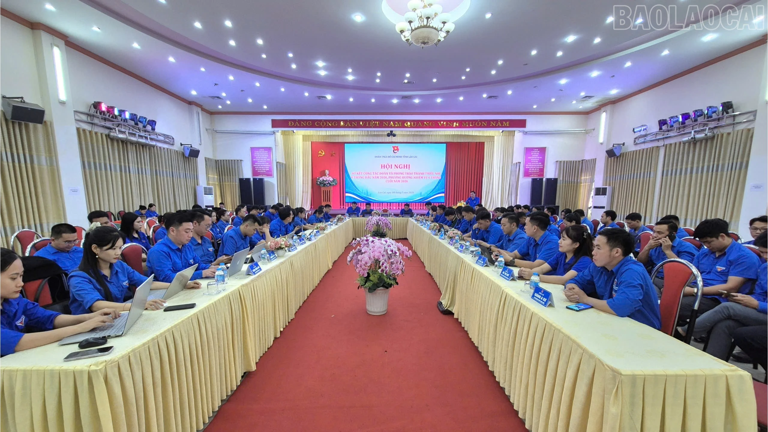 baolaocai-tr_1783494081990-1766308288443204543-5694511098469224762-77471a5b29d687145bdf08412a9b323d-4398.jpg