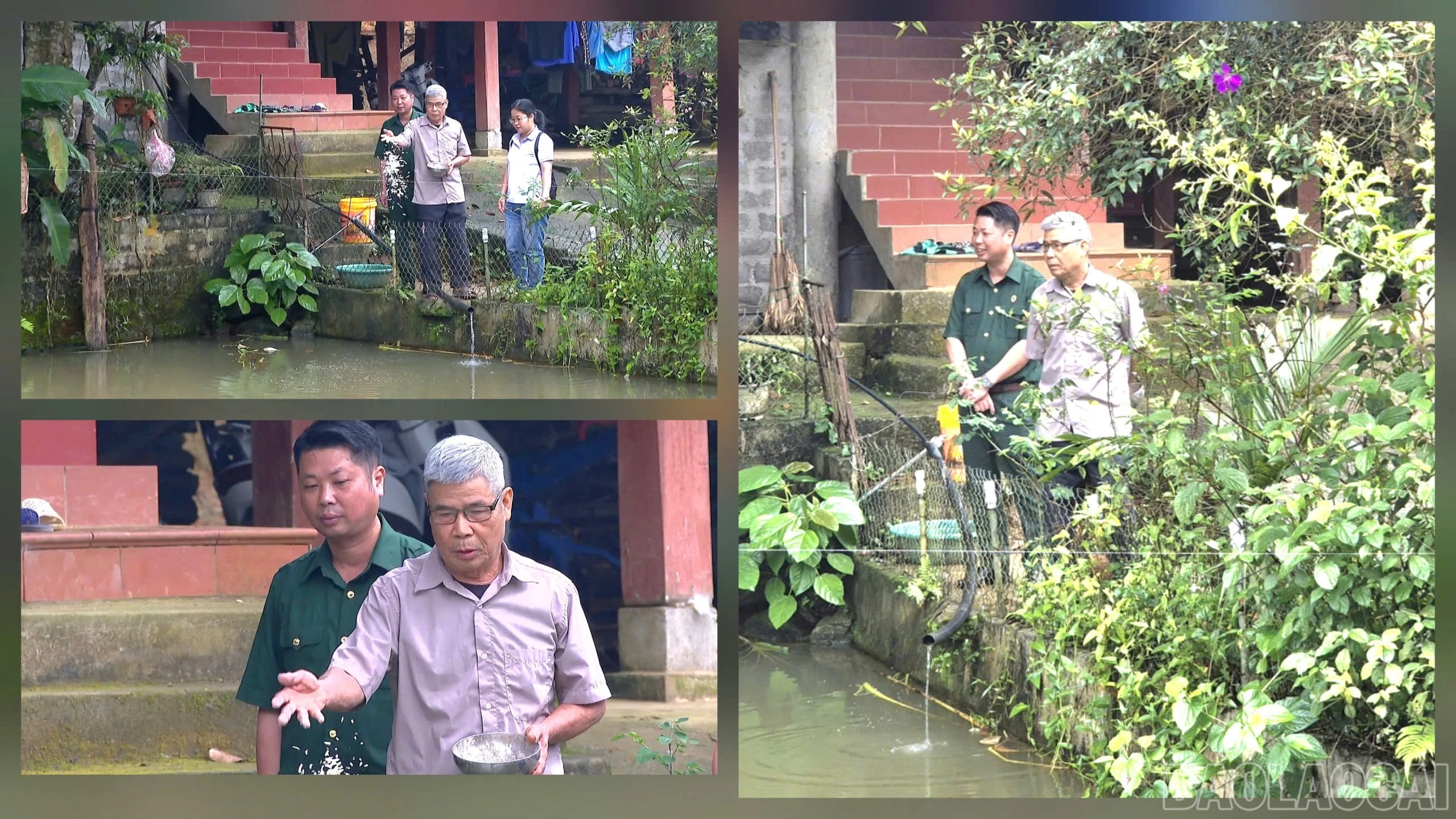 baolaocai-br_z7843964935305-f4c99e850a30ecf0364ee5e21cff0467-2107.jpg