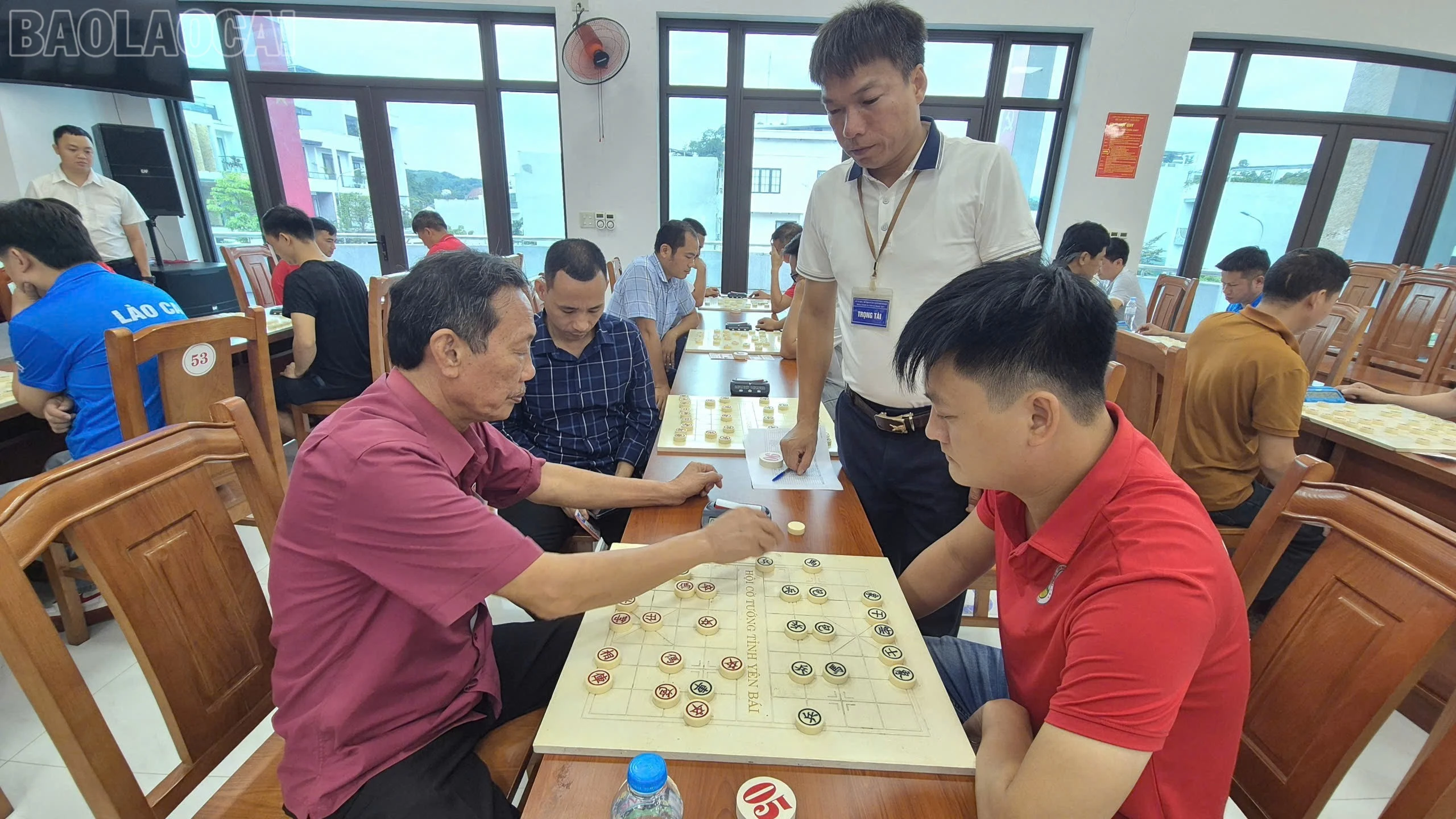 baolaocai-tl_z8002021548896-5dc214b90ea56f88539d246dd07a578b.jpg