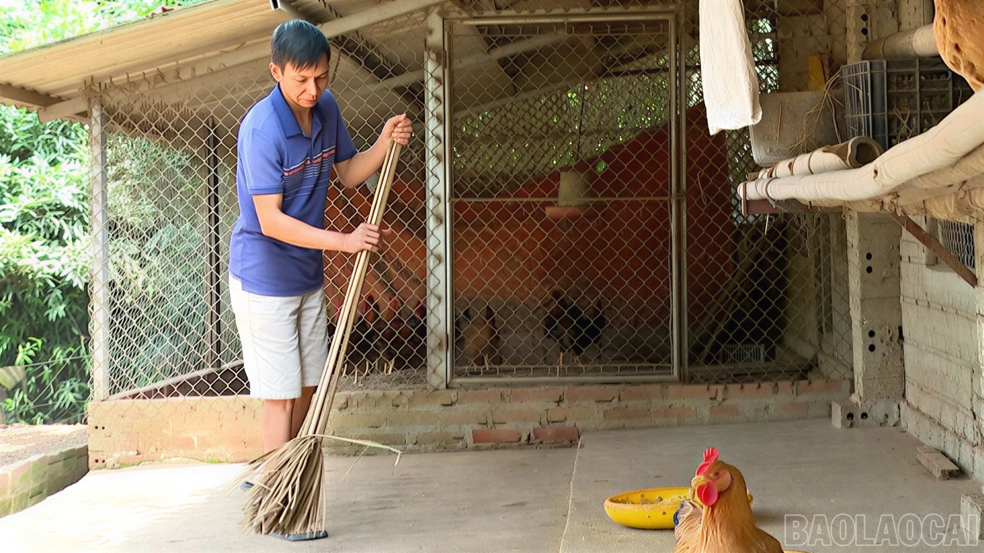 baolaocai-br_ve-sinh-chuong-trai-4684.jpg