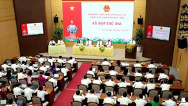 Giao tạm thời 1.561 chỉ tiêu hợp đồng lao động theo Nghị định số 111 của Chính phủ