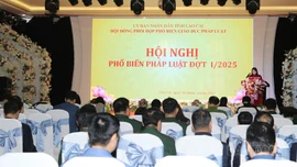 Hơn 200 đại biểu được phổ biến pháp luật đợt I/2025