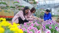 Rộn ràng thị trường hoa, cây cảnh Tết