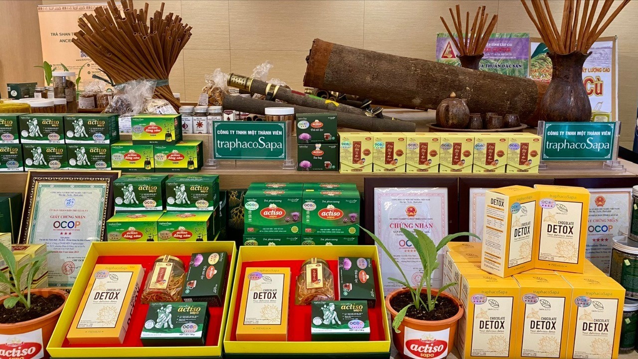 Các sản phẩm OCOP tiểu biểu của tỉnh được trưng bày tại không gian triển lãm. z7059995212178-c687258a1831863c60d1adf8b3badfc8-5050.jpg