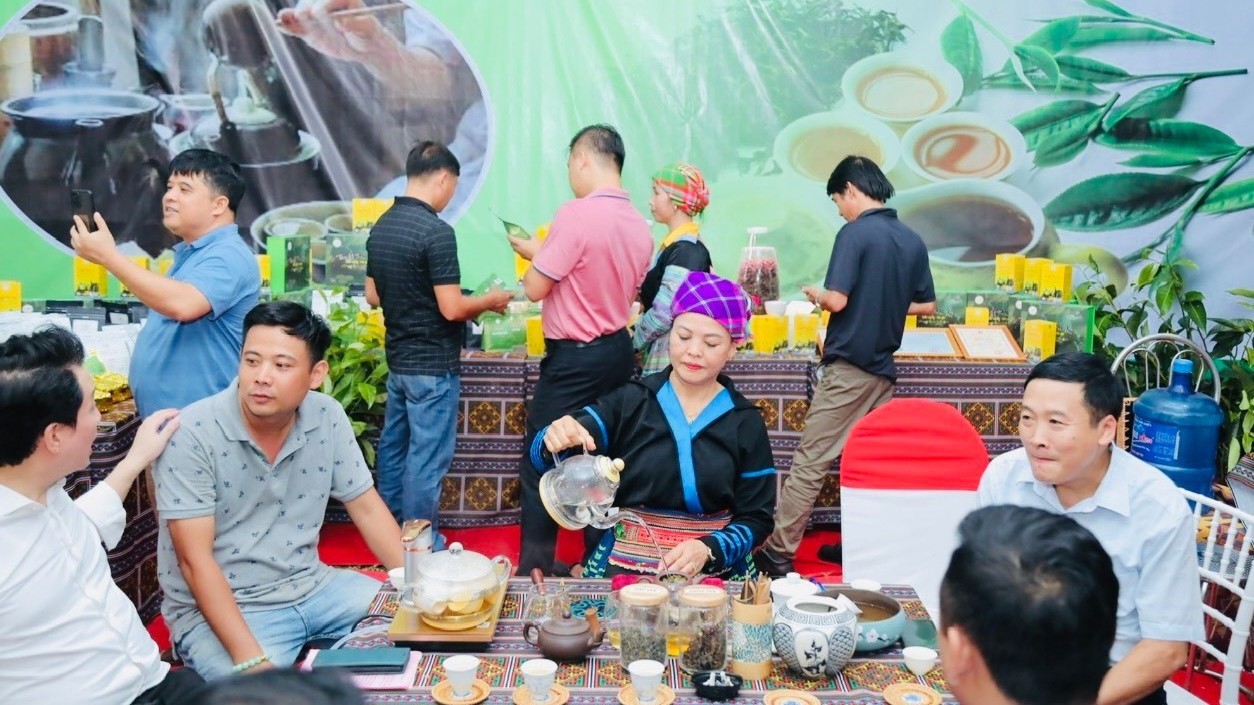 Chị Lâm Thị Kim Thoa pha trà Shan tuyết Suối Giàng mời du khách thưởng thức. image-11-7972.jpg