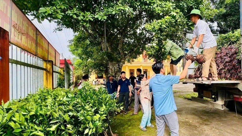Người dân xã Nghĩa Tâm nhận cây giống cam, quýt. z7033989204733-8e7d19745575ceef84196c2a24791e80-599.jpg