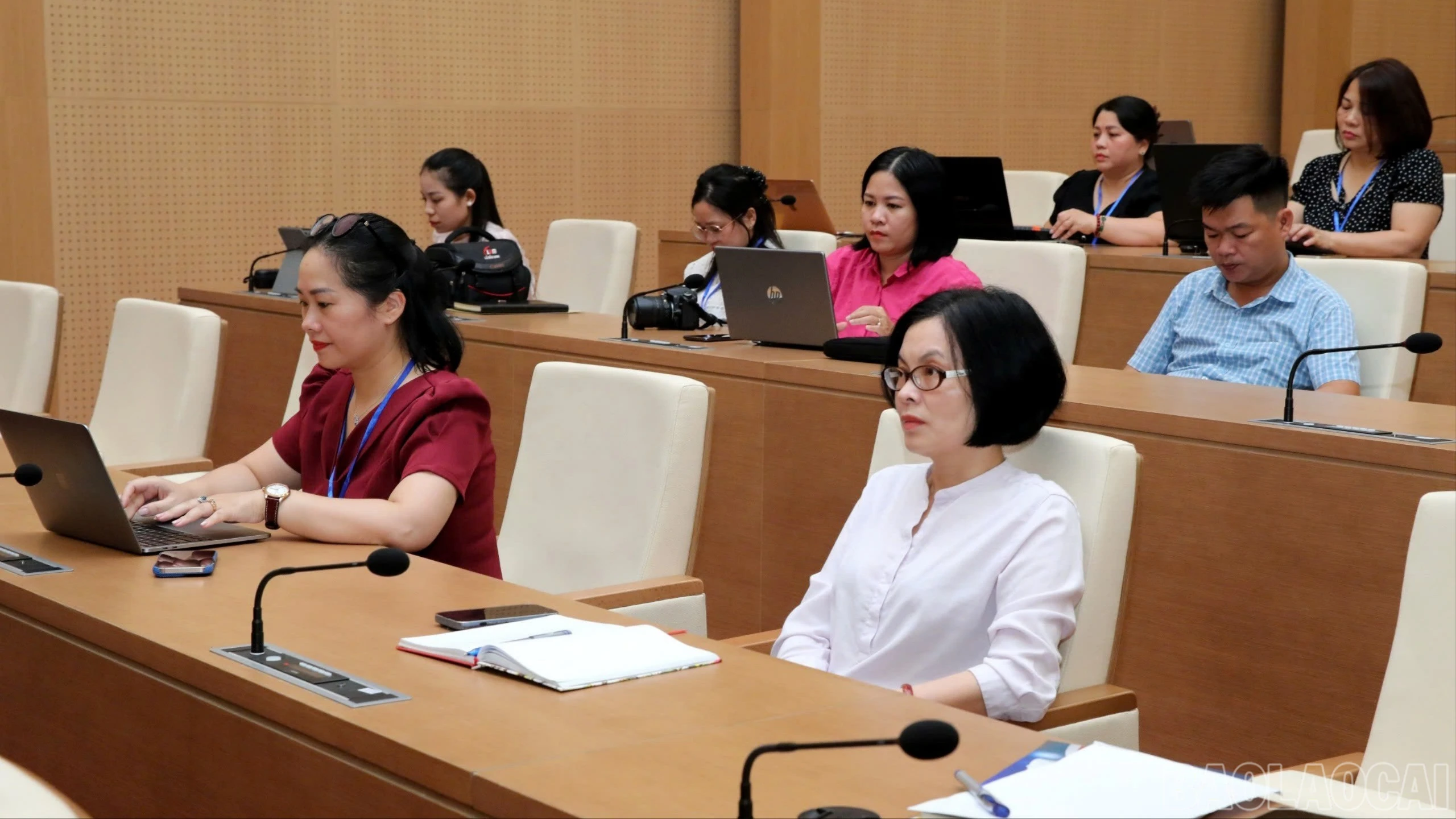 baolaocai-br_z7056300579064-5b770a2b4f1eb85339e504fb8204e3ee-9433.jpg