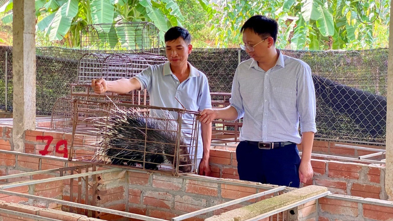 Phong trào thi đua phát triển kinh tế ngày càng phát triển, góp phần xây dựng nông thôn mới (Trong ảnh: Mô hình chăn nuôi nhím cho thu nhập cao của nông dân xã Nghĩa Tâm). z7067240585882-8d7e535da799c2a1b849841ca9fa7267.jpg