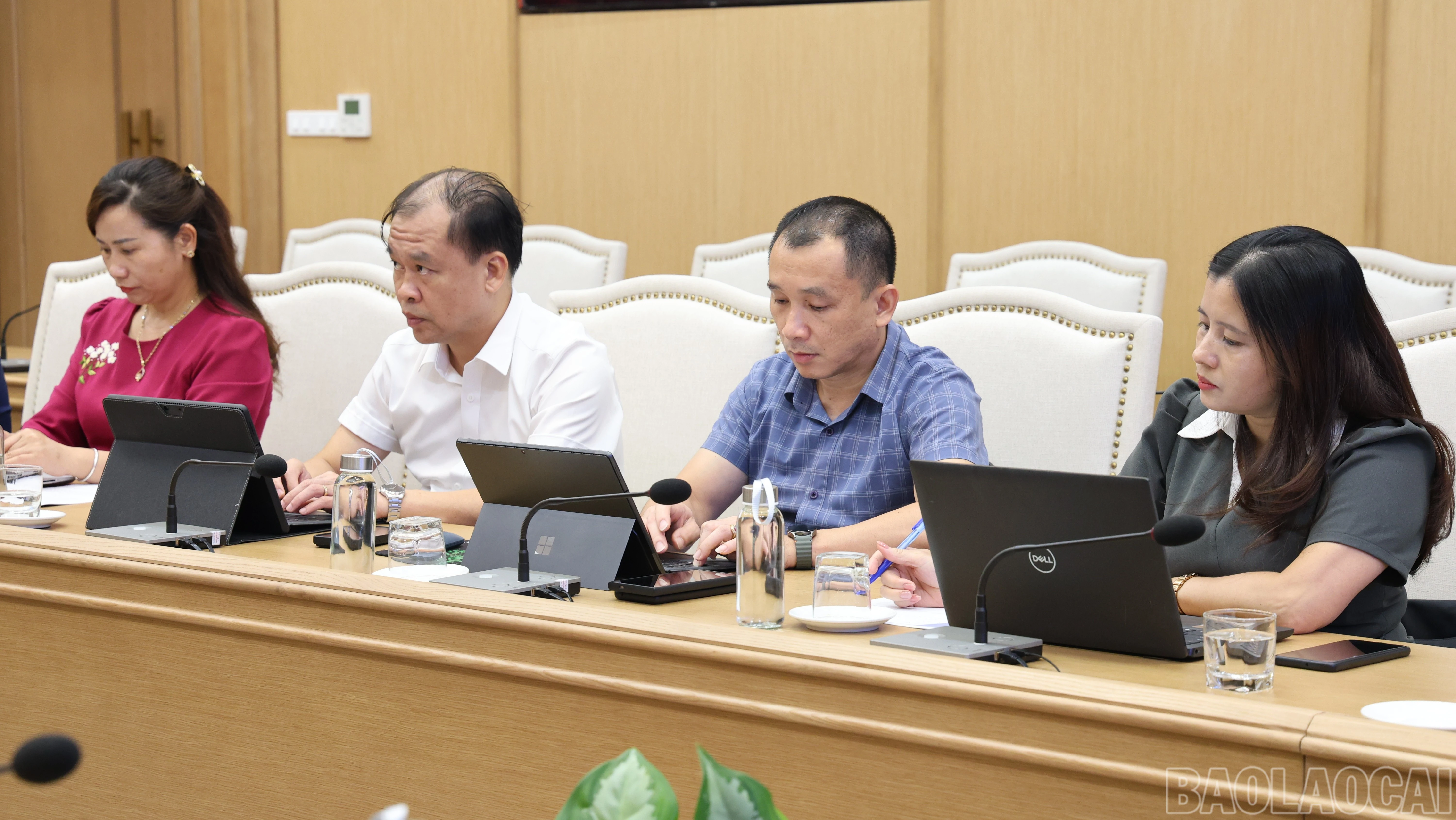 baolaocai-br_img-3165-1373.jpg