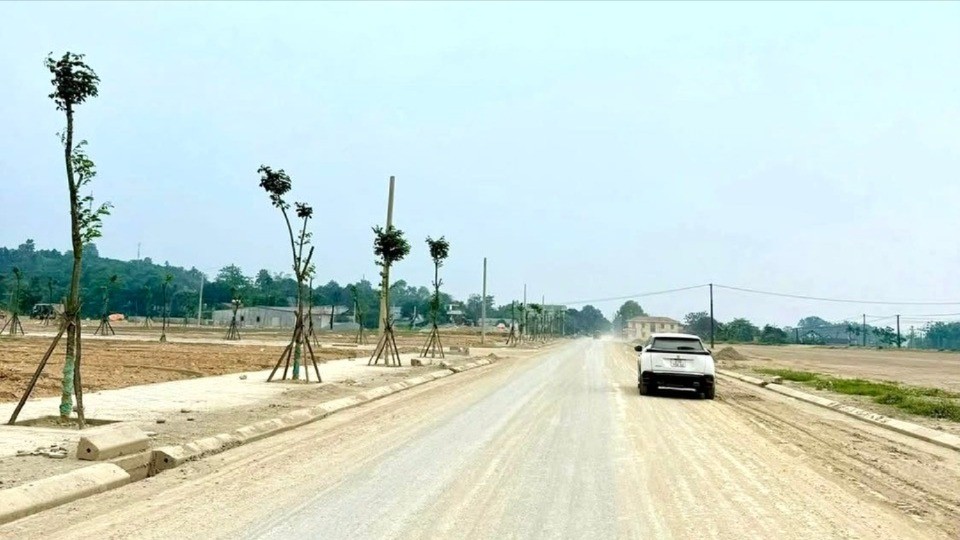 Hơn 5 triệu thửa đất trên địa bàn tỉnh cần rà soát, phân loại, chuẩn hóa. z6993793374338-a8133818ac228ed6d43ffbbd2c0ac7f5-2223.jpg