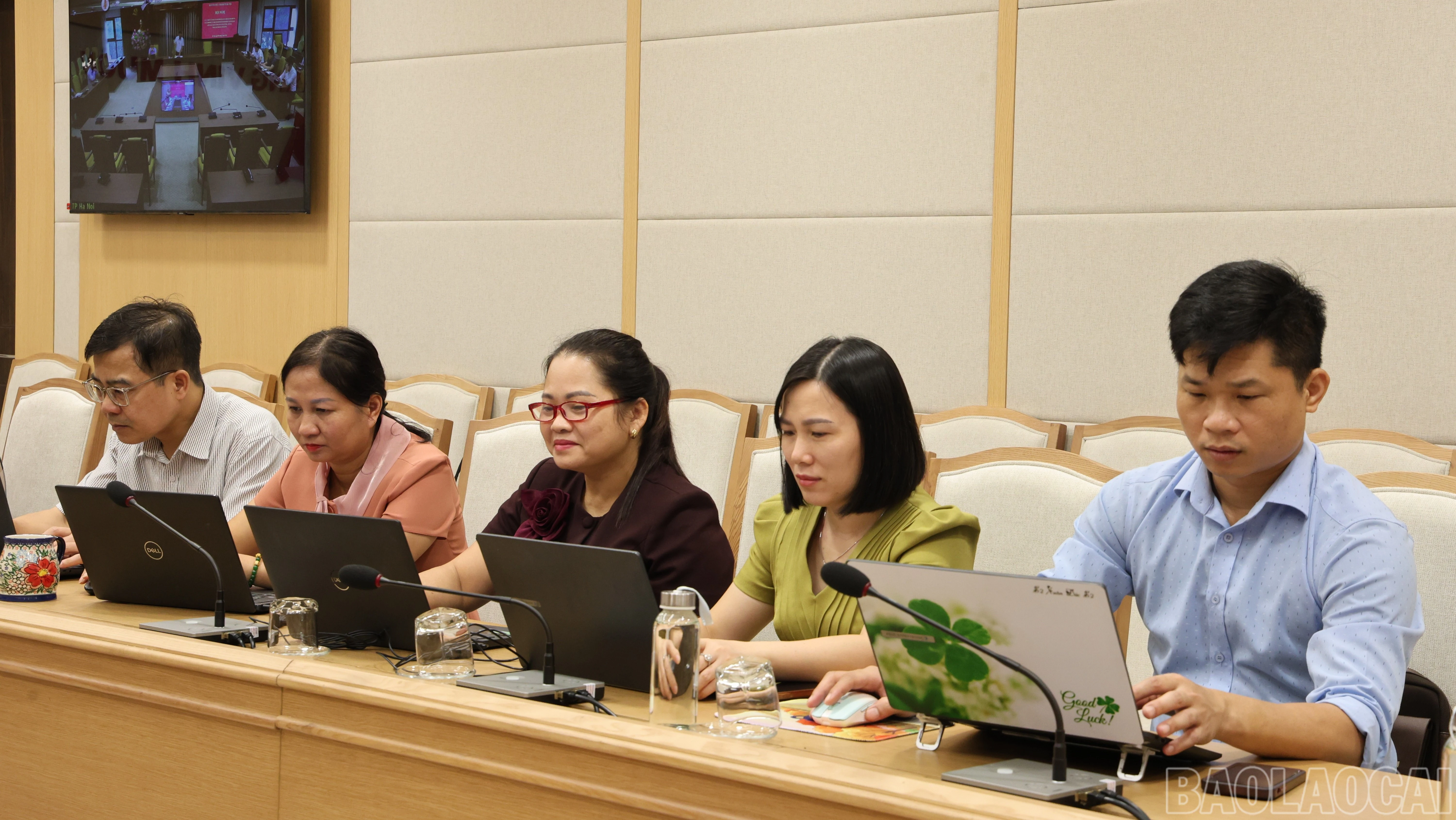 baolaocai-br_br-img-3981.jpg
