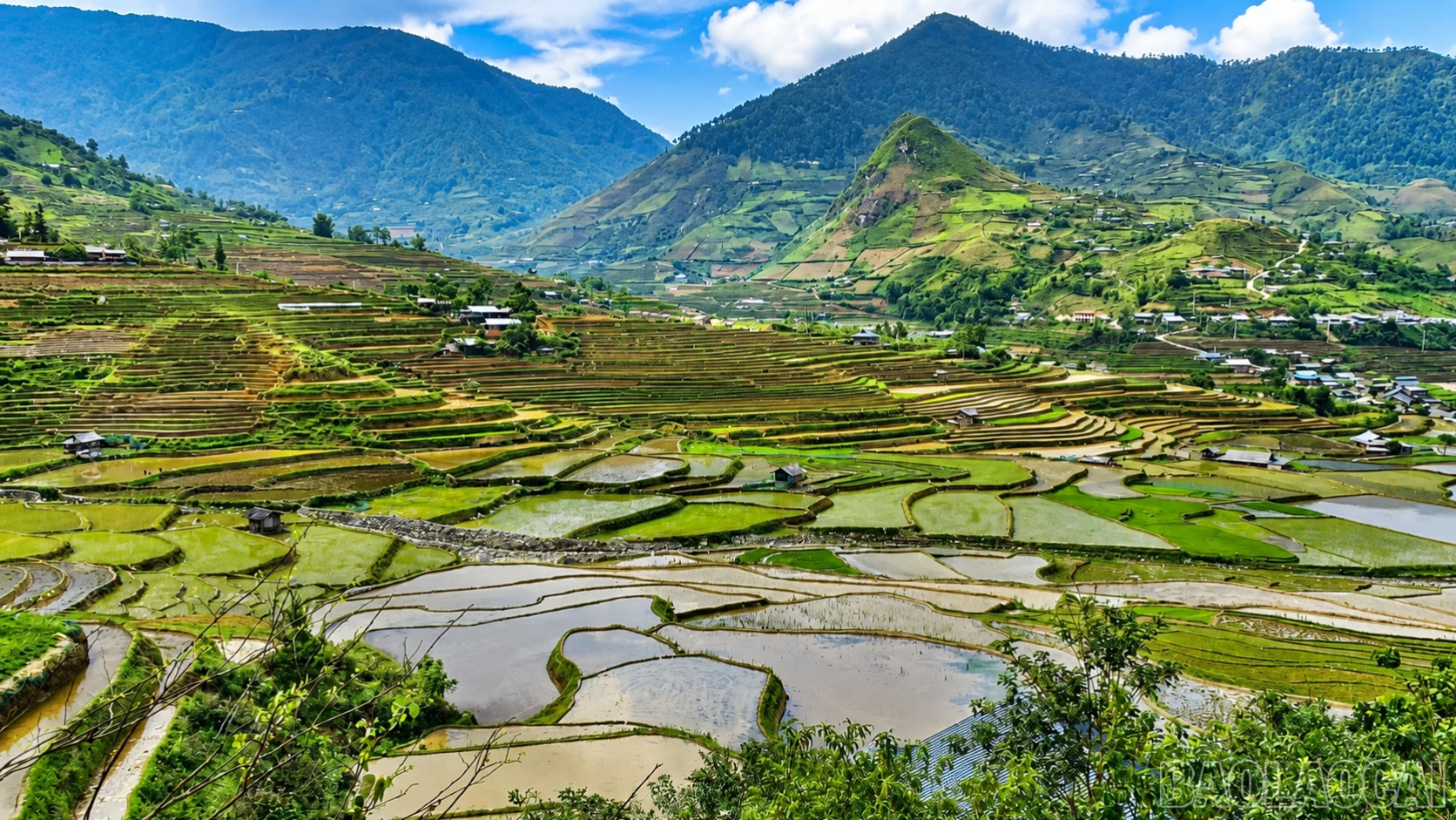 baolaocai-br_tu-le-9022.png