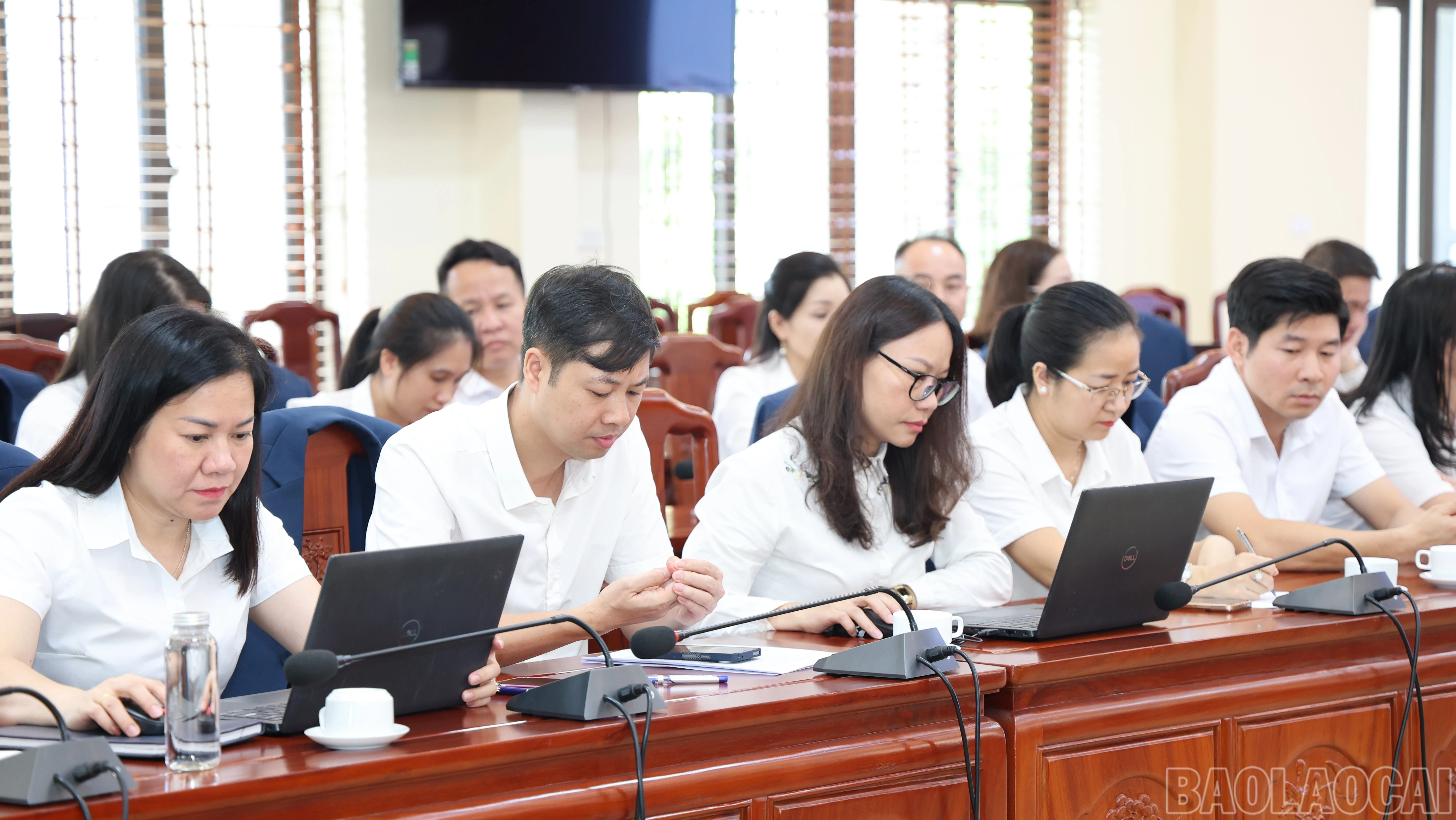 baolaocai-br_img-3811-4527.jpg