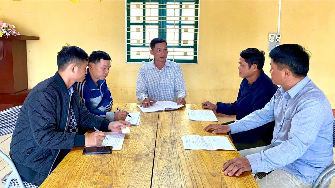 baolaocai-br_z7429579078782-b38785110a476e8478948c32e94807aa-copy-1981.jpg