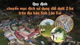 [Infographic] Quy định chuyển mục đích sử dụng đất dưới 2 ha trên địa bàn tỉnh Lào Cai