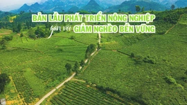 Bản Lầu phát triển nông nghiệp gắn với giảm nghèo bền vững