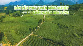 Bản Lầu phát triển nông nghiệp gắn với giảm nghèo bền vững