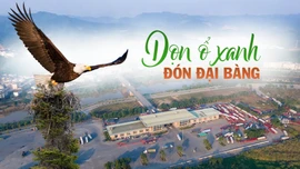 "Dọn ổ xanh đón đại bàng"