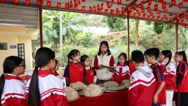 Nông nghiệp trường học – nền tảng cho giáo dục toàn diện