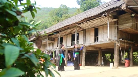 Gìn giữ văn hoá người Tày Khao