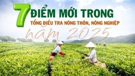 [Infographic] 7 điểm mới trong Tổng điều tra nông thôn, nông nghiệp năm 2025