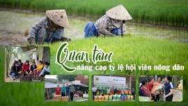 Quan tâm nâng cao tỷ lệ hội viên nông dân