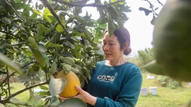 "Dân vận khéo" khơi dậy nội lực phát triển kinh tế ở Bát Xát