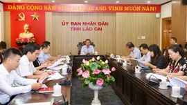 Thống nhất kế hoạch tham gia Hội chợ Kinh tế Thương mại và Du lịch biên giới Trung - Việt (Hồng Hà) năm 2024