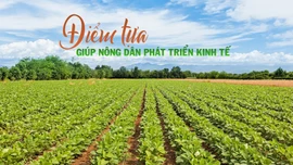 Điểm tựa giúp nông dân phát triển kinh tế