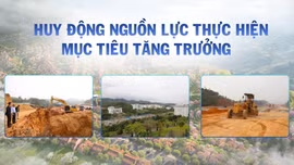Huy động nguồn lực thực hiện mục tiêu tăng trưởng