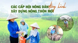 Các cấp hội nông dân đồng hành xây dựng nông thôn mới