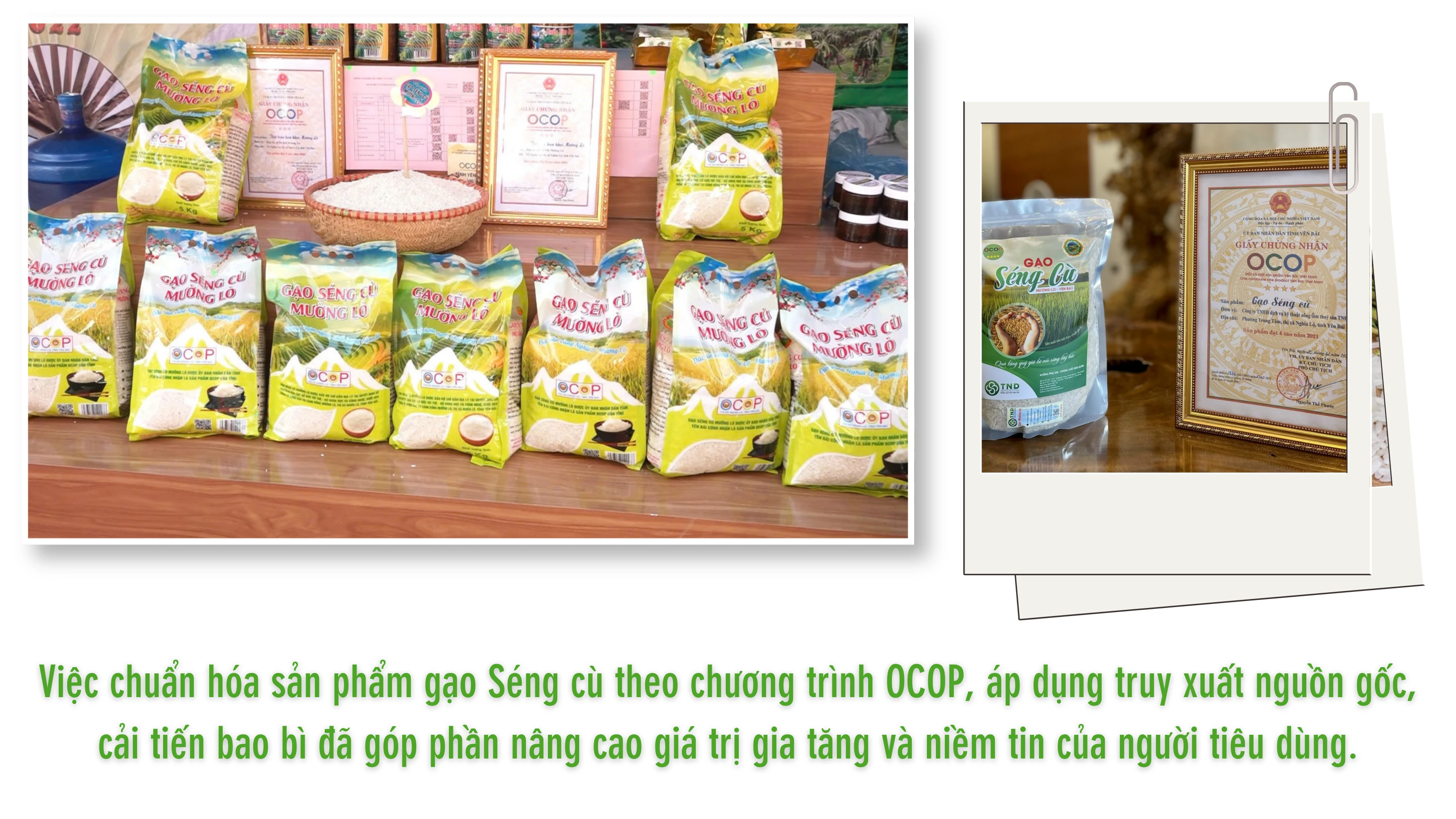 phat-trien-thuong-hieu.png
