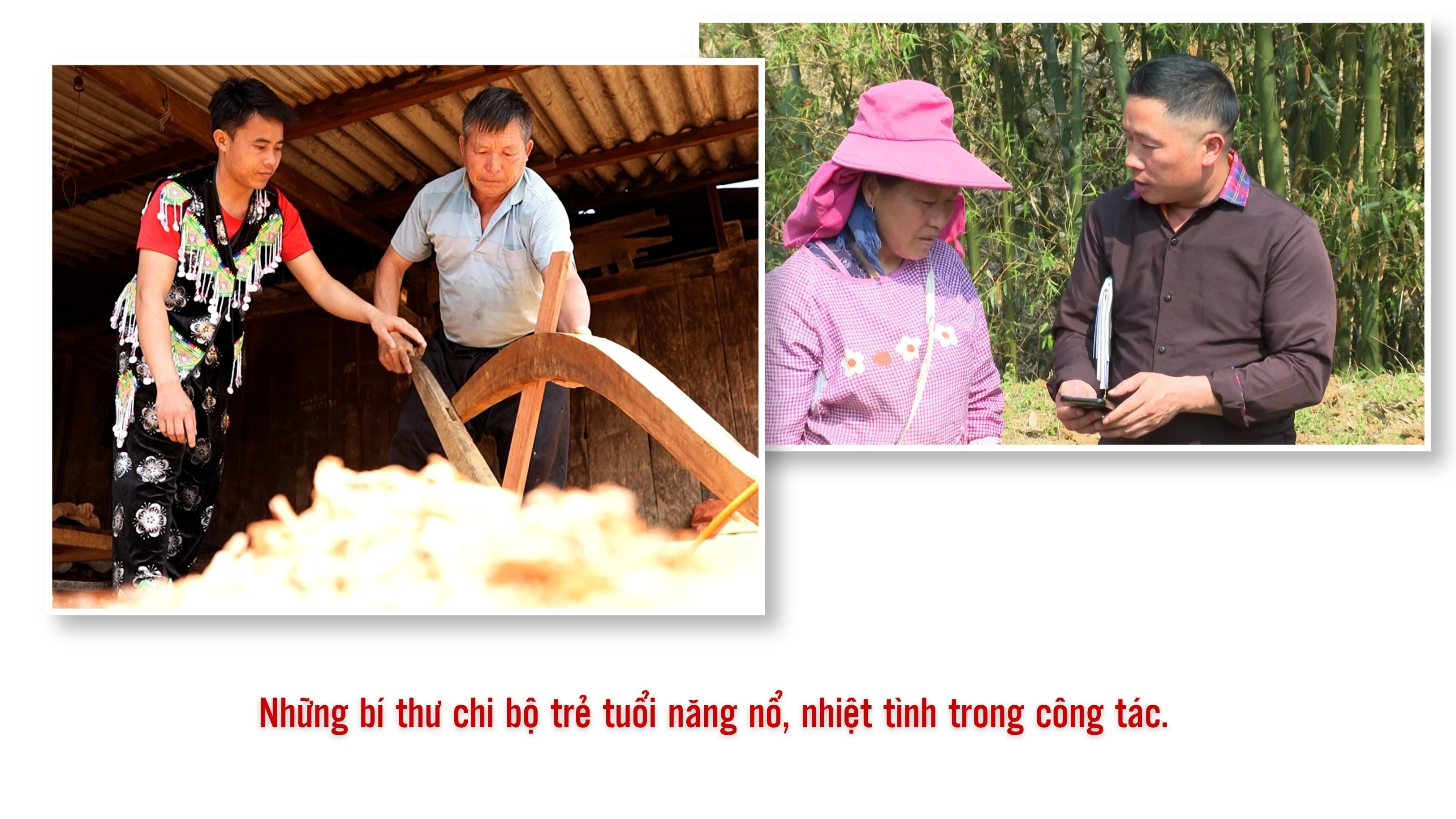 tinh-to-chuc-nhieu-hoi-thao-khoa-hoc-ve-bao-ve-nen-tang-tu-tuong-cua-dang-5.jpg