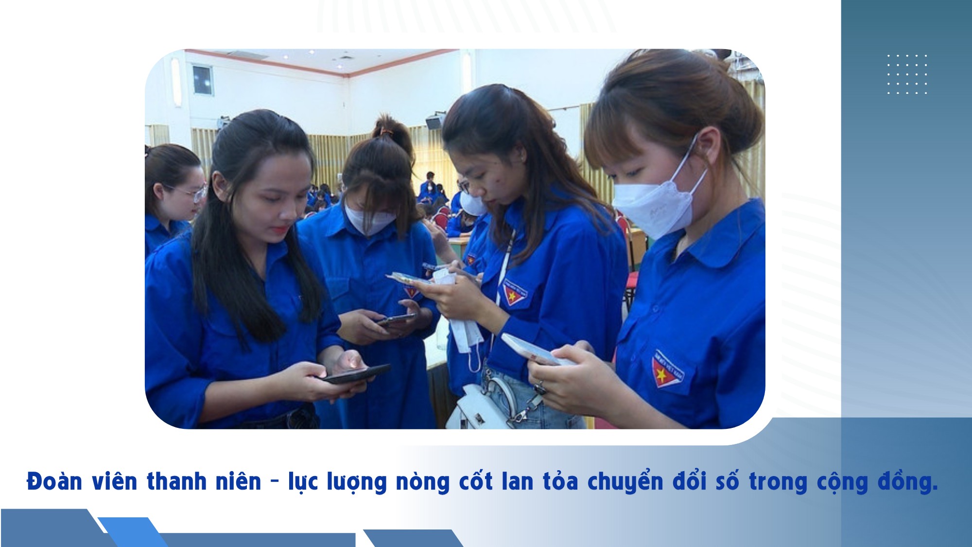 binh-dan-hoc-vu-so.png