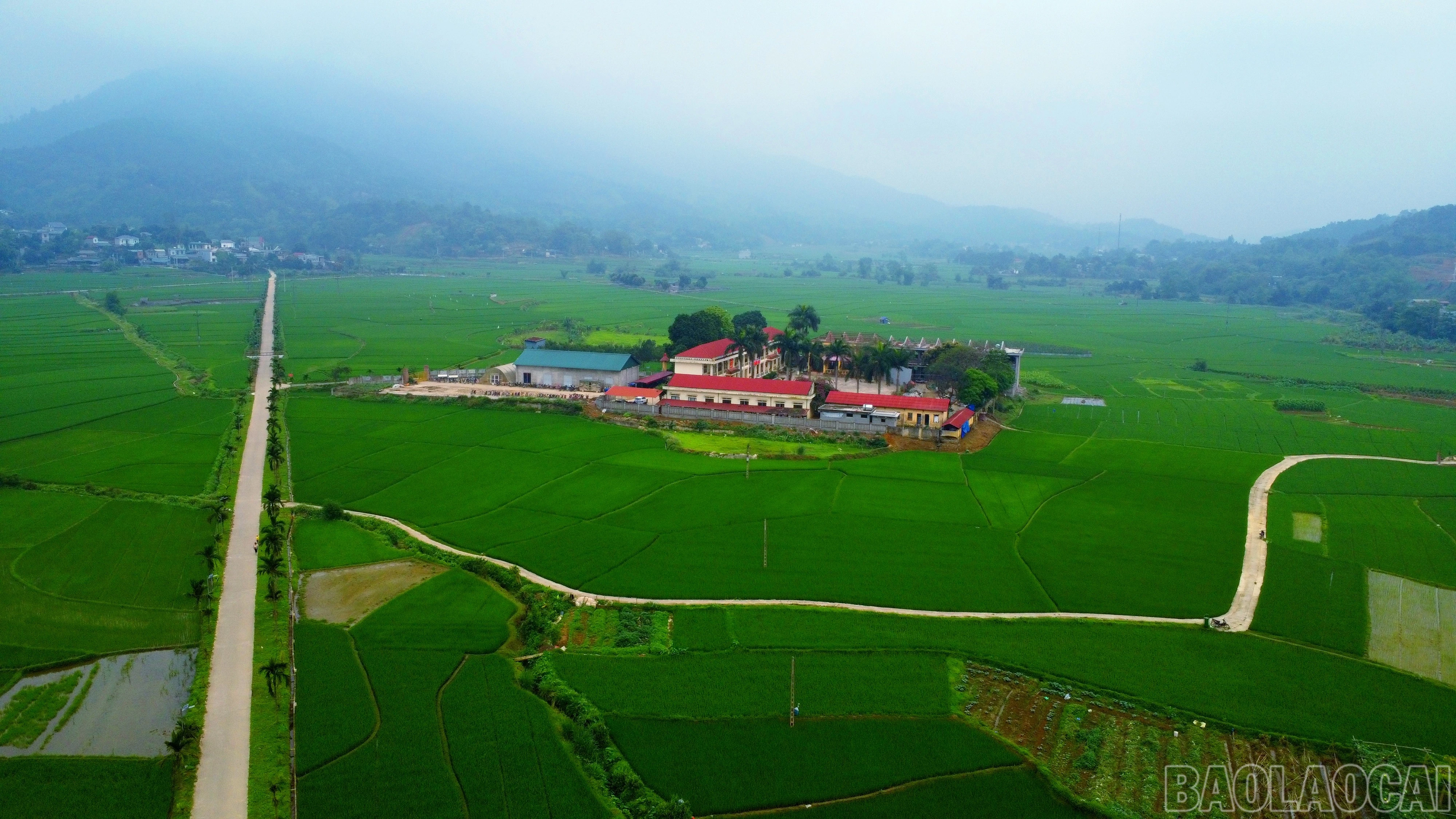 baolaocai-br_img-20250411-084216.jpg