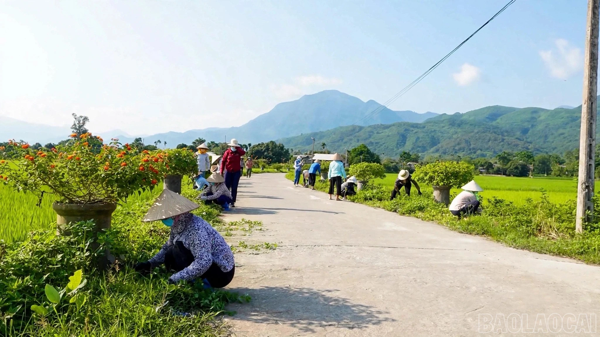 baolaocai-br_xa-cam-nhan-vs.jpg