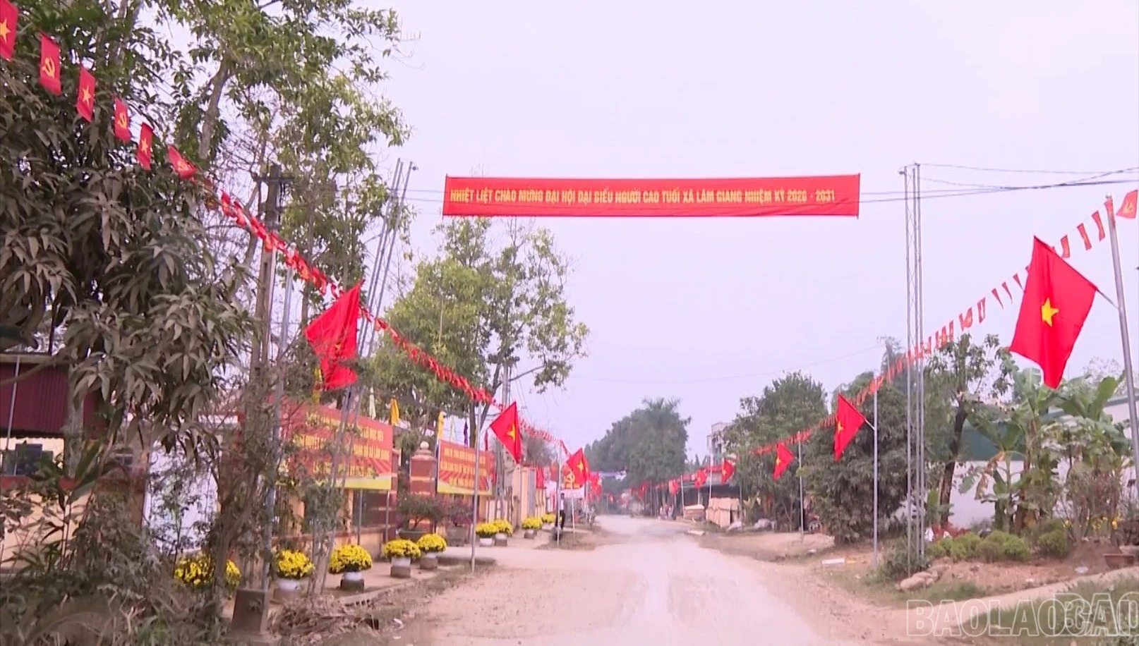 baolaocai-br-xa-lg.jpg