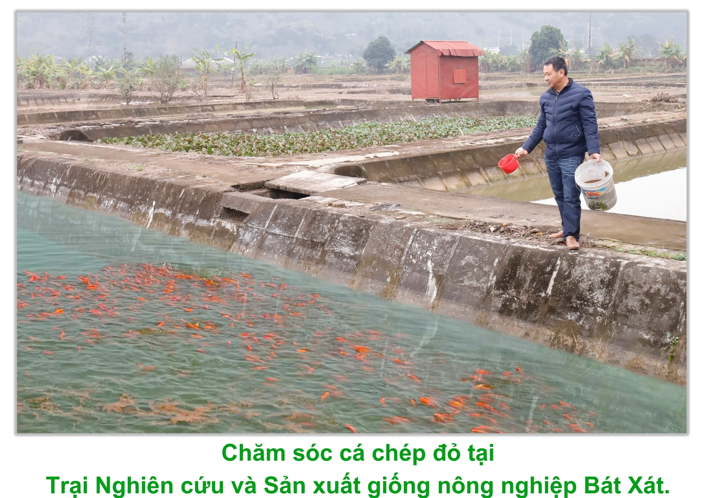 Chep2.jpg
