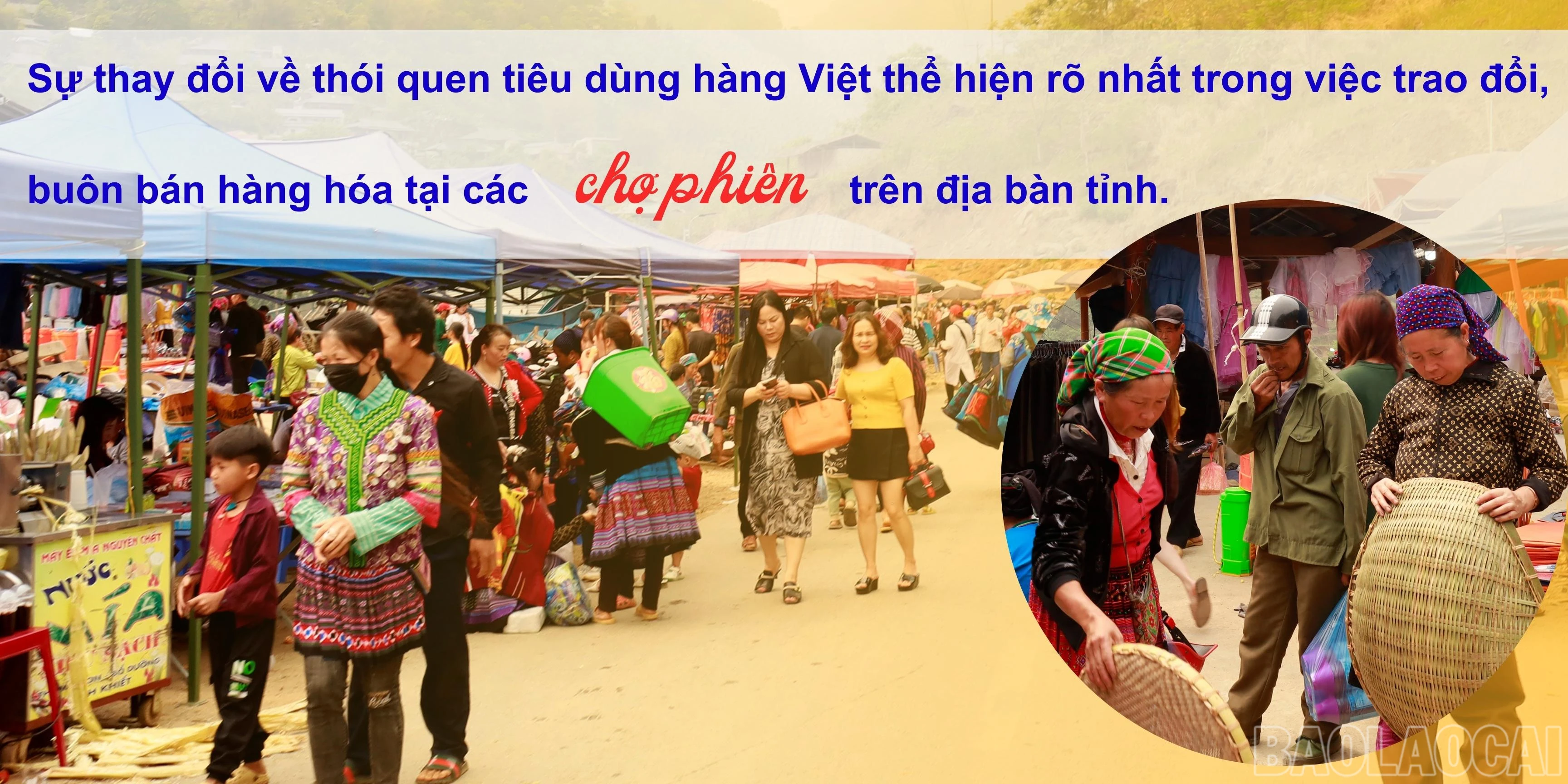 baolaocai_hangviet4.jpg