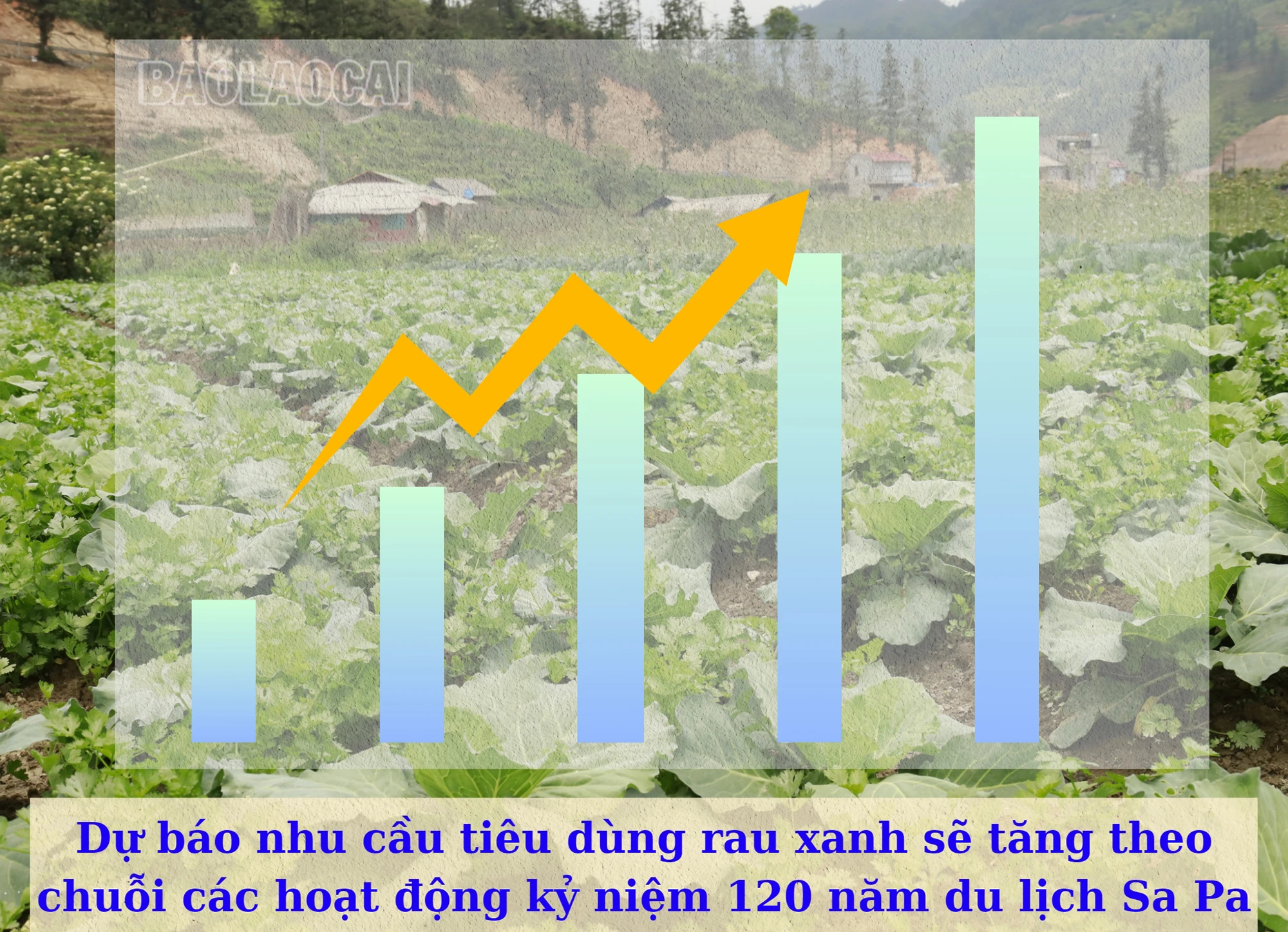 Rauxanh1.jpg